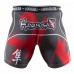 Компресійні шорти Hayabusa Metaru 47 Silver Compression Shorts Red