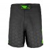 Шорти Bad Boy Legacy 3.0 Black / Green