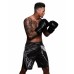 Шорти Hayabusa Chikara 3.0 Fight Shorts Black