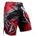 Шорти Hayabusa Chikara 3.0 Fight Shorts Red