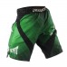 Шорти Peresvit Immortal Fightshorts Green Lantern
