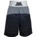 Боксерські шорти RIVAL Training Shorts RAP-TR20 gray