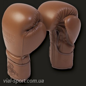 Боксерські рукавички Paffen Sport " the Traditional"