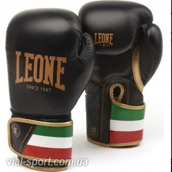 Боксерські рукавички Leone Italy Black