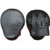 Лапи RING TO CAGE NO LOGO Curved Punch mitts пара R2C07N