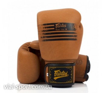 Боксерські рукавички Fairtex BGV21 Legacy