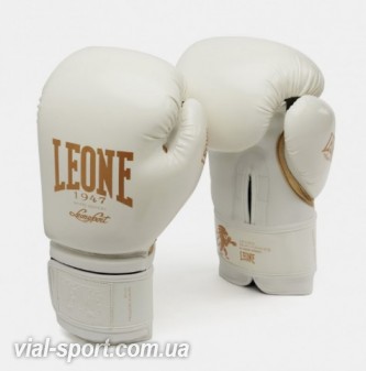 Боксерські рукавички Leone Mono white