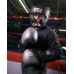 Боксерські рукавички Title Platinum Proclaim Training Gloves