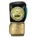 Боксерські рукавички TITLE WBC Green Belt Training Gloves 1.0 green black