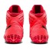 Борцовки Asics Aggressor 4 Tokyo sunrise red/eclipse black 1081a036-701