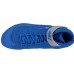 Борцовки Nike inflict 3 game royal/metallic silver 325256-401