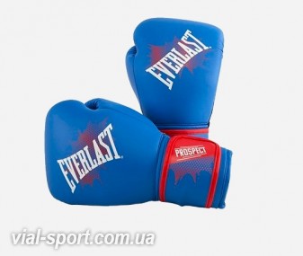 Дитячі рукавички EVERLAST Prospect Youth Boxing Gloves