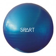 Фітбол Rising Anti Burst Gym Ball 65 см