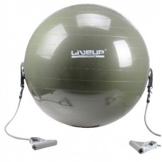 Фітбол з еспандером GYM BALL WITH EXPANDER 65 см LS3227