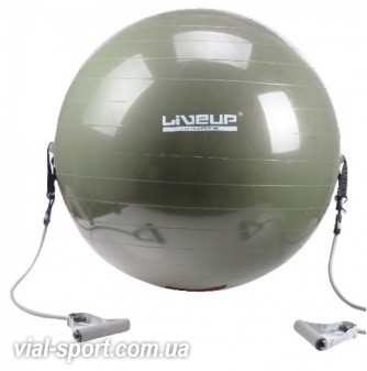 Фітбол з еспандером GYM BALL WITH EXPANDER 65 см LS3227