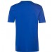 Футболка Everlast Laurel t-shirt mens blue