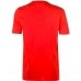 Футболка Everlast Laurel t-shirt mens red