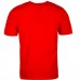 Футболка Everlast logo t-shirt mens red laurel