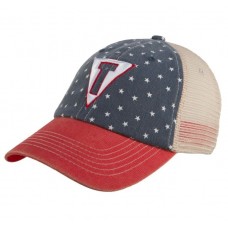 Кепка Title Boxing Freedom Adjustable Cap USA