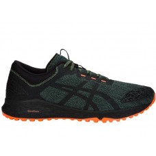 Кросівки бігові Asics Alpine XT T828N-300