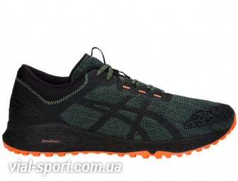 Кросівки бігові Asics Alpine XT T828N-300