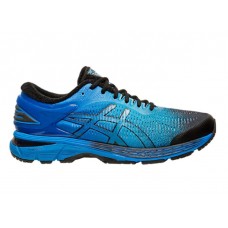 Кросівки бігові Asics Gel-kayano 25 SP 1011A030-001