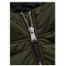 Куртка зимова PIT Bull Topside Hooded Jacket оливковий