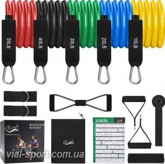 Набір трубчастих еспандерів зі знімними рукоятками RECREDO Resistance Bands Set 150lbs (5 еспандерів)