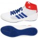 Взуття для боротьби Adidas Havoc. BD7129-біло-синього кольору