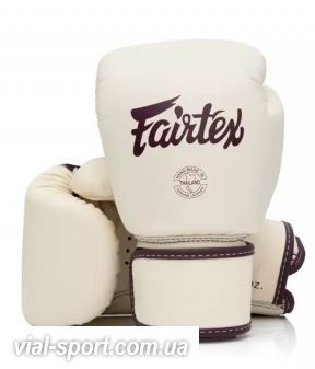 Рукавички боксерські Шкіряні на липучці FAIRTEX BGV16 