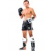 Рукавички Booster Boxing Gloves Pro Siam 1 black / white