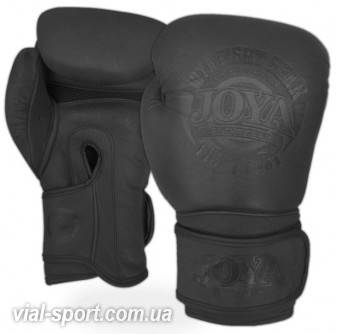 Рукавички Joya "Fight Fast" Boxing Gloves black