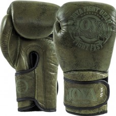 Рукавички Joya" Fight Fast " Boxing Gloves green