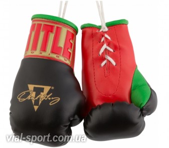 Рукавички сувенірні TITLE Oscar De La Hoya 5 " Mini Boxing Gloves чорні