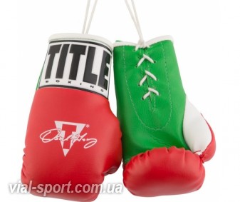 Рукавички сувенірні TITLE Oscar De La Hoya 5 " Mini Boxing Gloves червоні