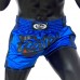 Шорти для тайського боксу Fairtex Muay Thai Shorts Синій