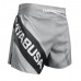 Шорти Hayabusa Kickboxing Shorts 2.0-Grey