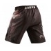 Шорти Peresvit Legend Fightshorts Last Stand