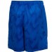 Шорти Under Armour UA RAID 8 SHORT сині чоловічі 1257826-038