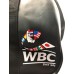 Сумка-рюкзак (2 в 1) Adidas ADIACC051WB . Колір Чорний. золотий логотип WBC