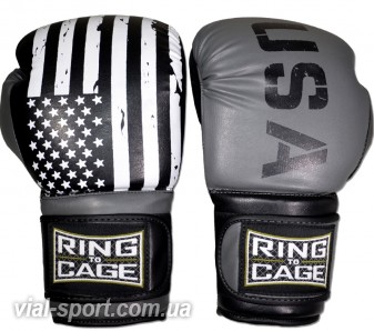 Тренувальні боксерські рукавички RING TO CAGE Gym Training Gloves-USA сірий / USA